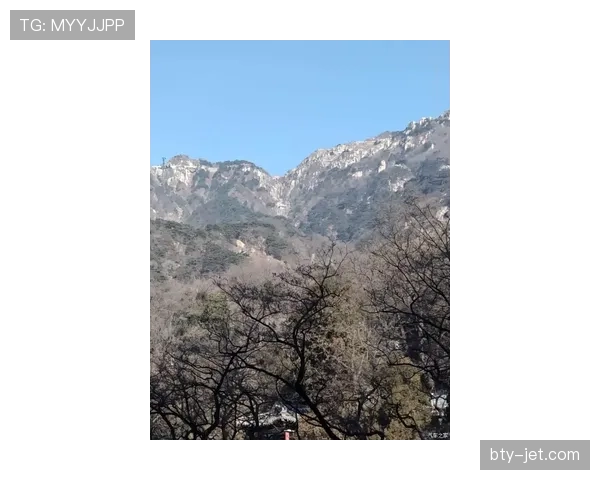 山东泰山还有争冠希望吗？矛盾丛生与战术顽疾下的豪门危机
